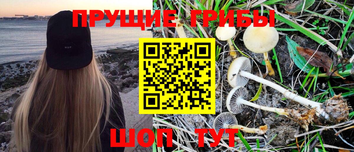 Псилоцибиновые грибы MAGIC MUSHROOMS Еманжелинск